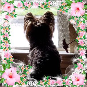 Meet your Posher, Patricia